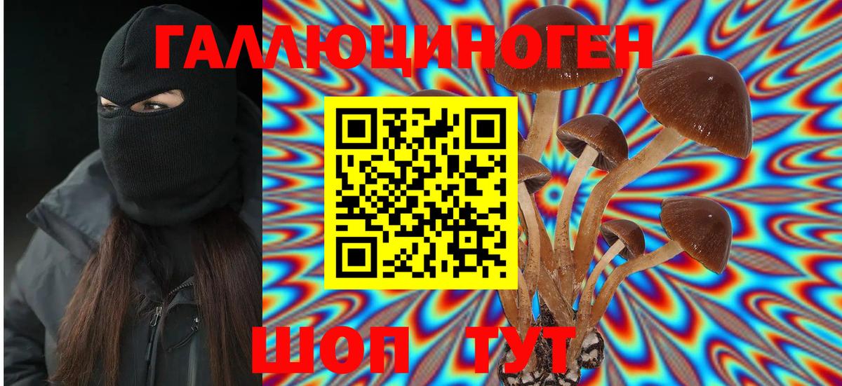 Можайск  Псилоцибиновые грибы MAGIC MUSHROOMS  Вход с VPN 
