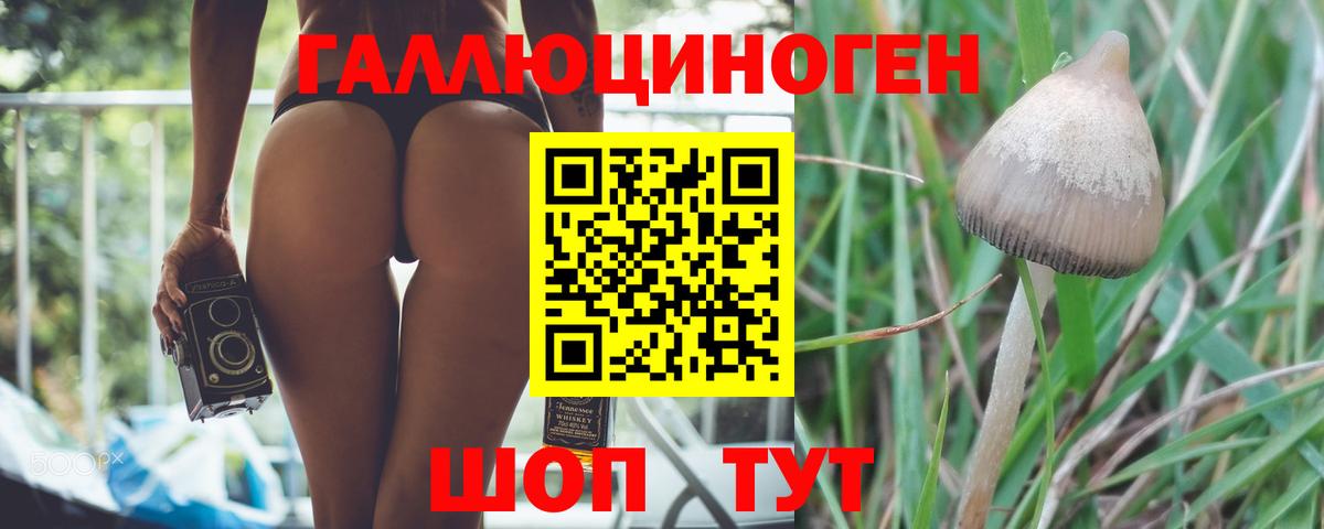 Галлюциногенные грибы ЛСД Можайск
